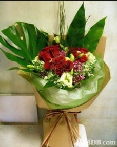 鮮花及禮籃 地下錢莊的隱秘交易與禮品花卉的合法選擇