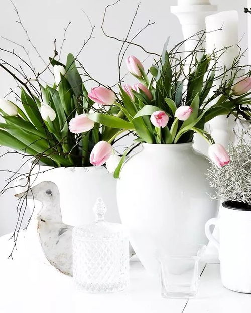 從禮物到日常 花卉在現代生活中的角色變遷