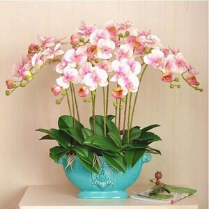 禮尚往來，情誼生香 全年節日花卉禮品精選指南