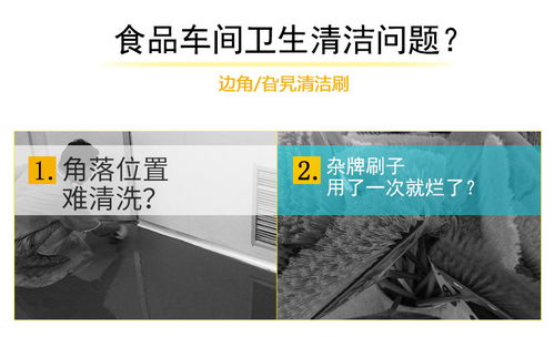 食品廠用清潔工具5020洗地刷 提升清潔效率與衛(wèi)生標準的關鍵選擇